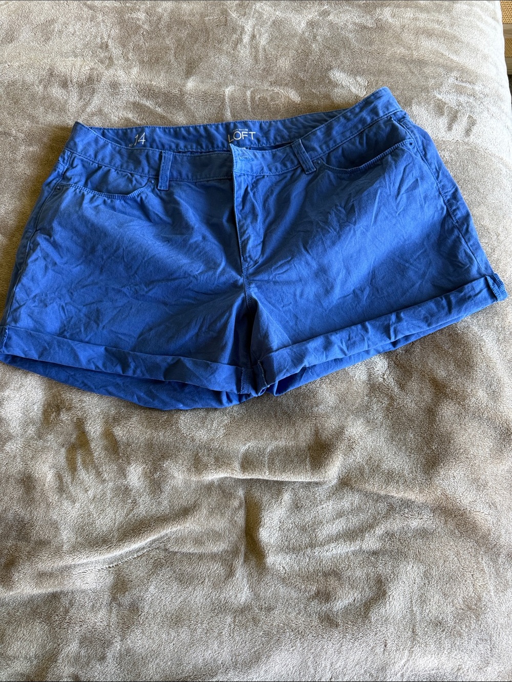LOFT Blue Roll-Cuff Cotton Blend Shorts 14